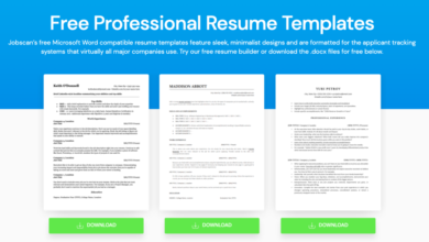 How to create a professional summary for a resume