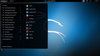 How to create a website using kali linux