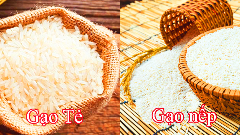 Tại sao gạo nếp dẻo hơn gạo tẻ