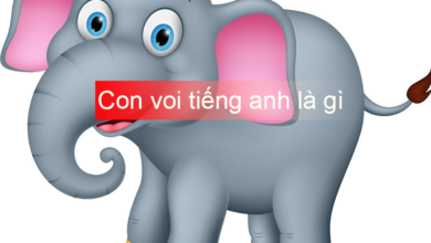 Con voi tiếng Anh là gì: Định nghĩa, ví dụ Anh Việt