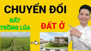 Thủ tục chuyển đổi đất trồng lúa sang đất trồng cây hàng năm – Hiển thị nội dung – Cổng thông tin điện tử tỉnh Bắc Giang