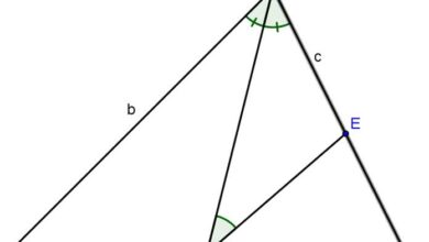 đường phân giác trong tam giác là gì