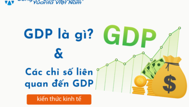 GDP là gì? Các chỉ số liên quan đến GDP đánh giá như thế nào?