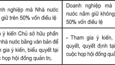Vấn đề người đại diện sở hữu vốn nhà nước tại các doanh nghiệp cổ phần tại Việt Nam