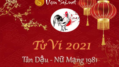 Tử Vi Tuổi Tân Dậu 2021 – Nam Mạng Sinh Năm 1981 (Chi Tiết)