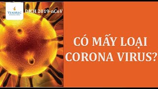 Thông tin đa ngôn ngữ về chứng nhhiễm vi rút corona chủng mới (COVID-19) | MIYAGI INTERNATIONAL ASSOCIATION (MIA)