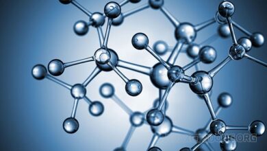 Nguyên tử, phân tử là gì – Tổng hợp các kiến thức liên quan