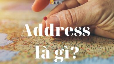 Address Line 1 Là Gì – What Does Address Line 1/2/3/4 Mean – Thienmaonline