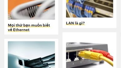 Ethernet là gì? Các tính năng hàng đầu của Ethernet